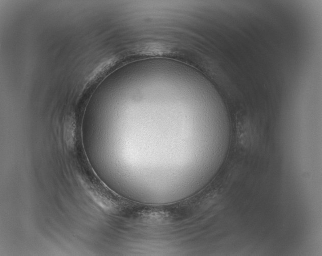 X0000077280304200610271505