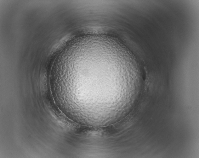 X0000077280306200610271505