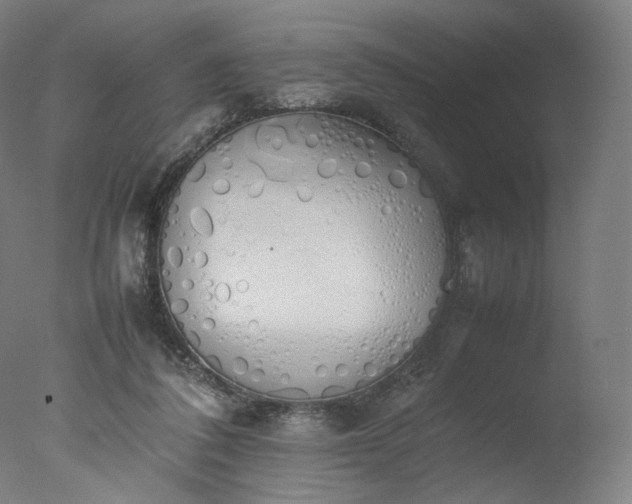 X0000077280308200610271505