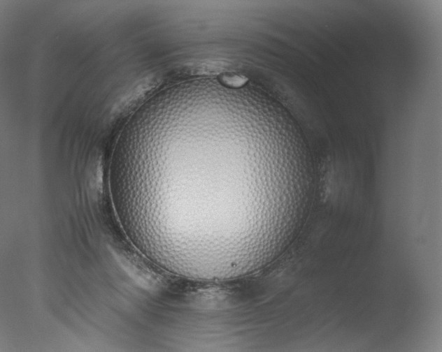 X0000077280310200610271505