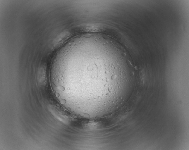 X0000077280312200610271505