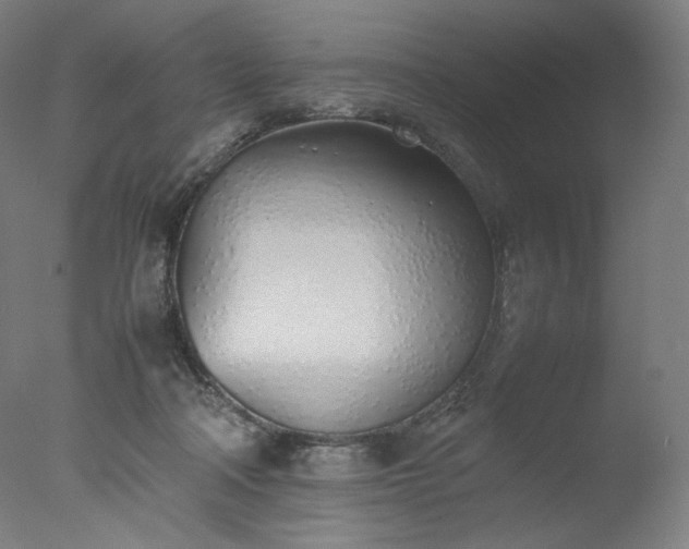 X0000077280314200610271505
