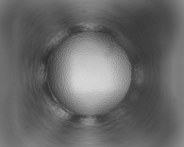 X0000077280318200610271505