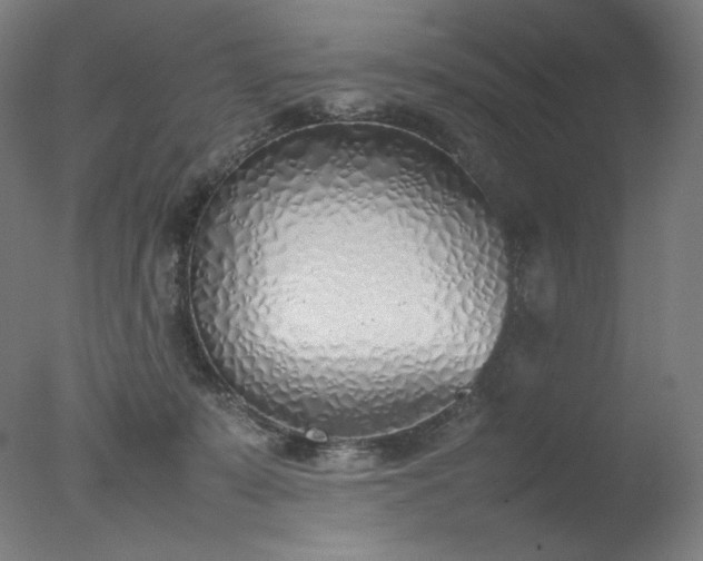 X0000077280319200610271505