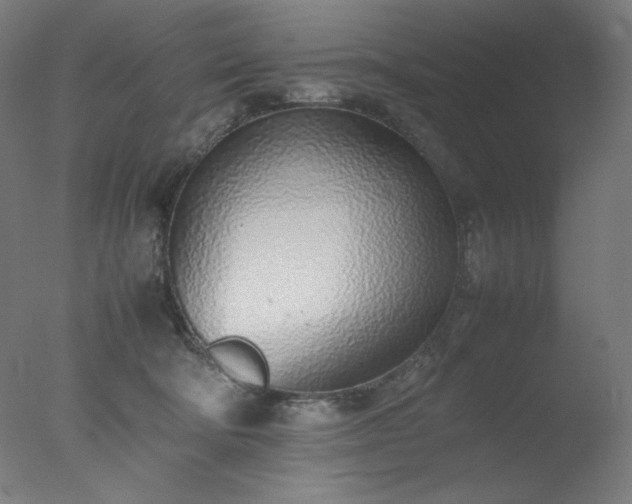 X0000077280322200610271505