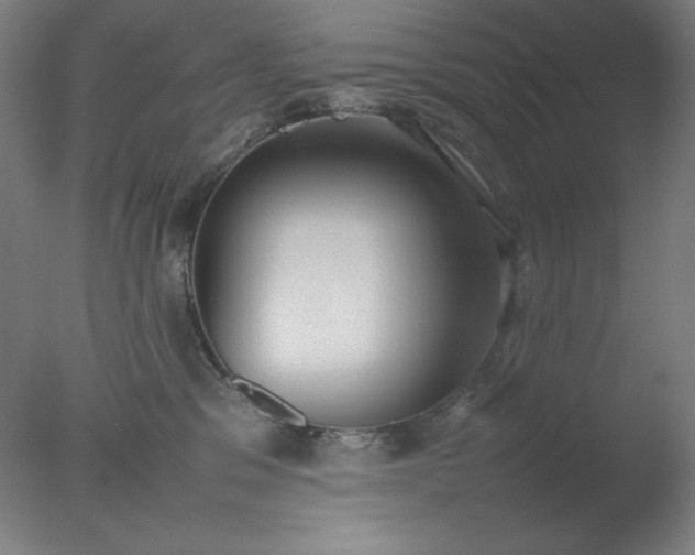 X0000077280329200610271505