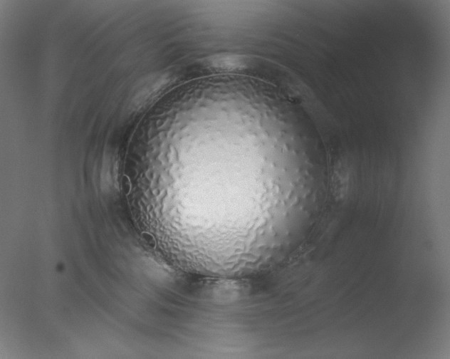 X0000077280330200610271505