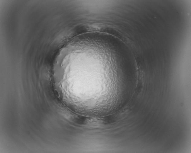X0000077280331200610271505