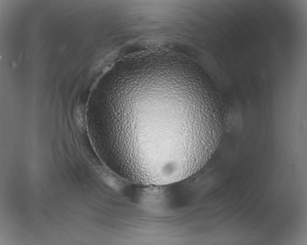 X0000077280335200610271505