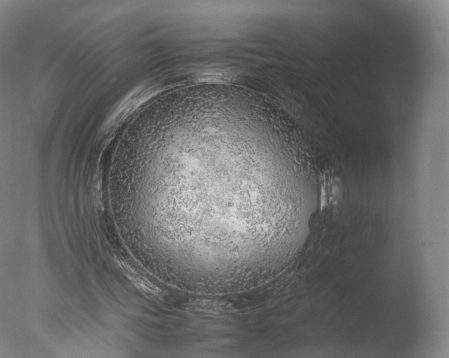 X0000077280339200610271504