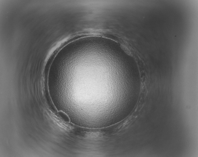 X0000077280342200610271504