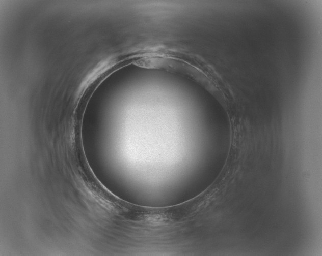 X0000077280344200610271504