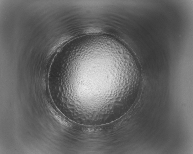 X0000077280345200610271504