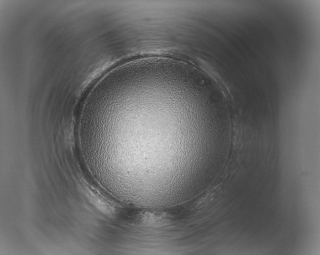 X0000077280346200610271504