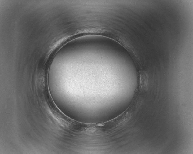 X0000077280348200610271504