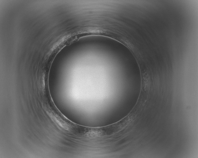 X0000077280350200610271504