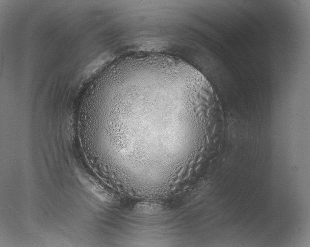 X0000077280354200610271504