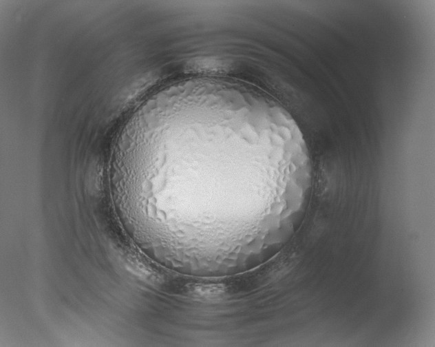 X0000077280355200610271504