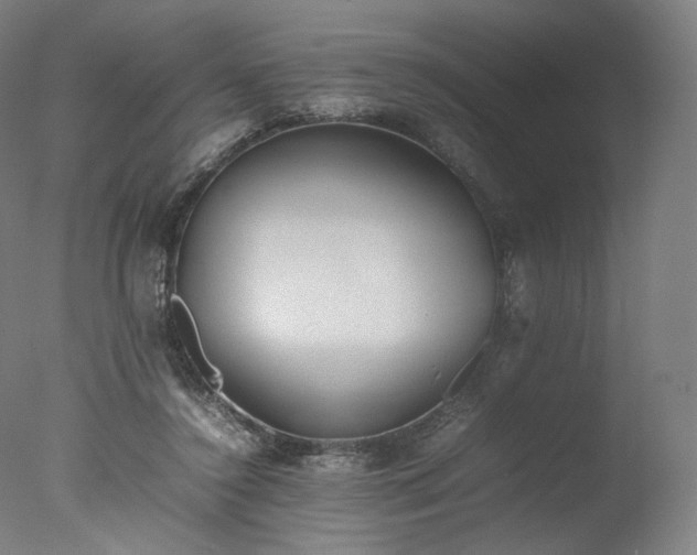 X0000077280356200610271504