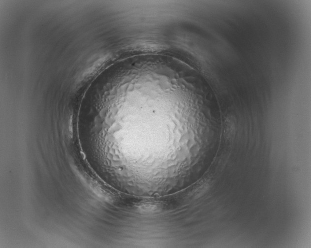 X0000077280358200610271504