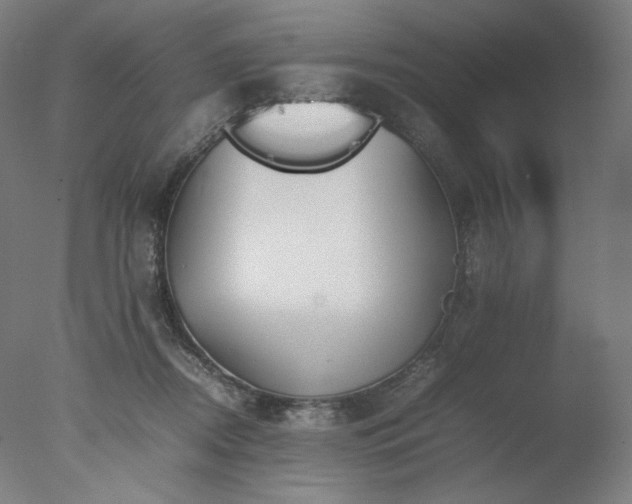 X0000077280362200610271504