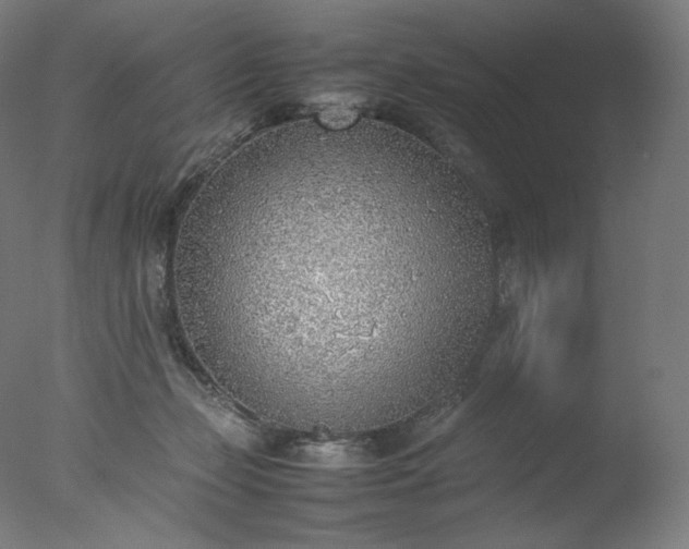 X0000077280365200610271504