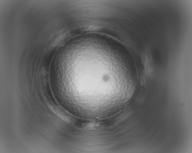 X0000077280366200610271504