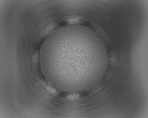 X0000077280369200610271504