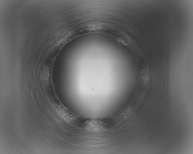 X0000077280372200610271505