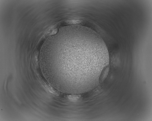 X0000077280373200610271505