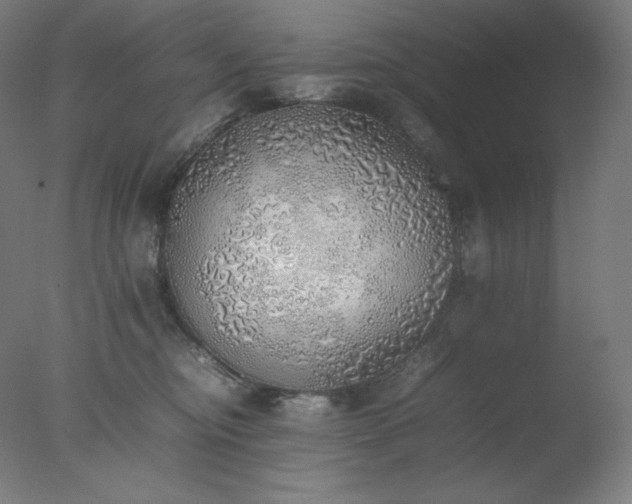 X0000077280374200610271505
