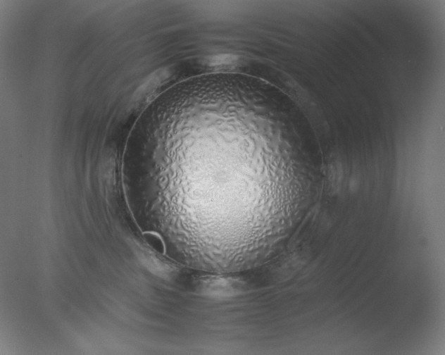 X0000077280379200610271505
