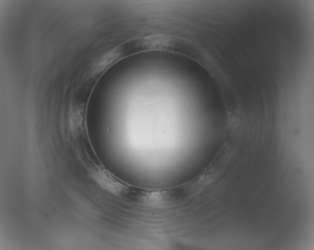 X0000077280382200610271505
