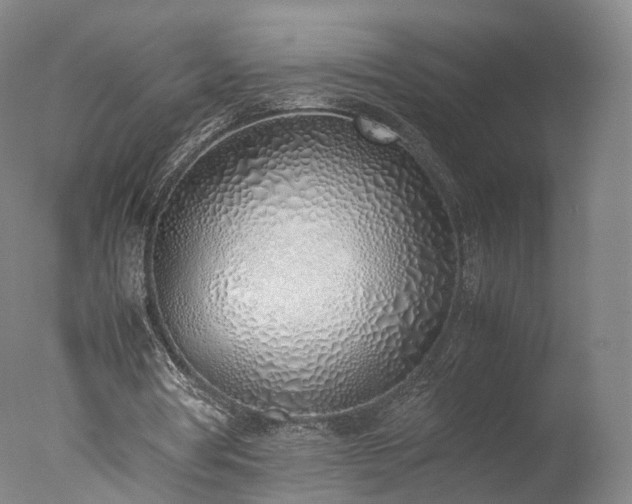 X0000077280386200610271504
