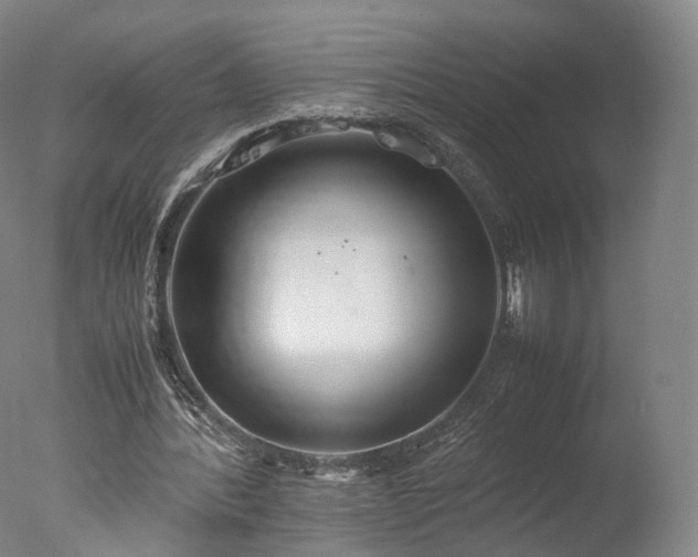 X0000077280388200610271504