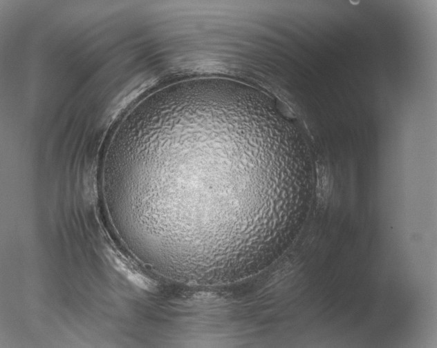 X0000077280390200610271504