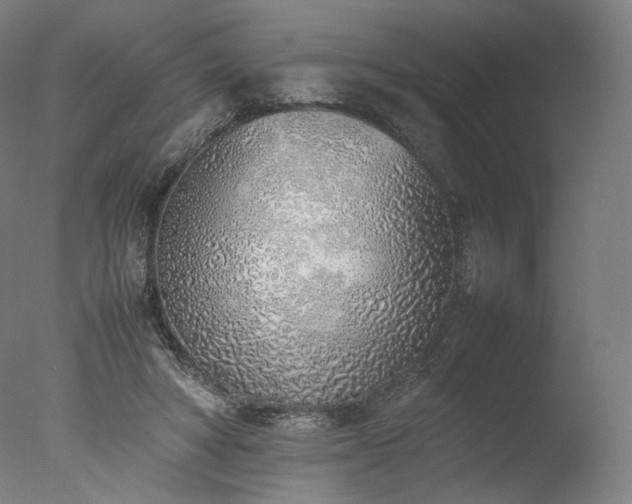 X0000077280402200610271504