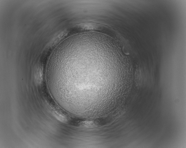 X0000077280406200610271504