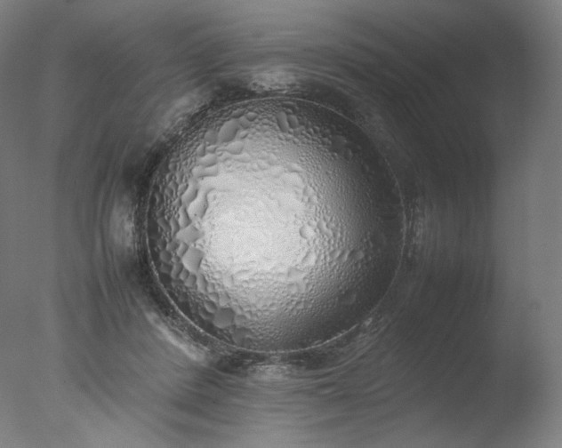 X0000077280408200610271504