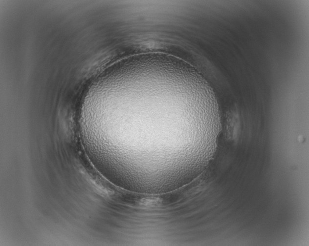 X0000077280410200610271504