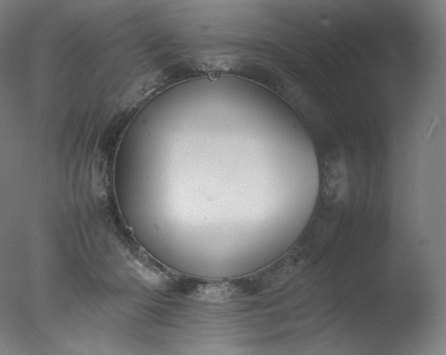 X0000077280414200610271503