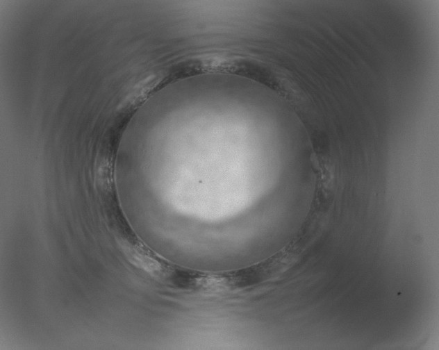 X0000077280419200610271503