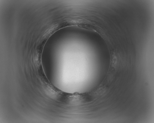 X0000077280428200610271503