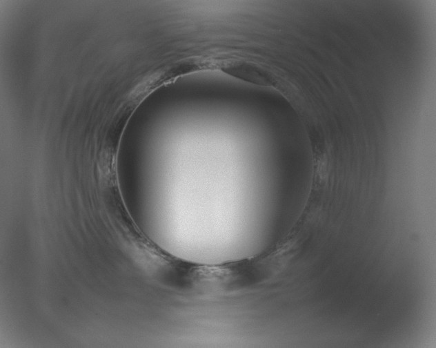 X0000077280429200610271503