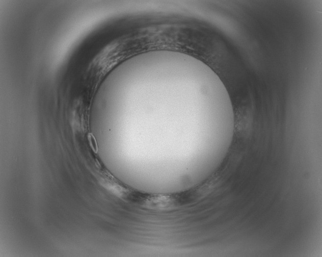 X0000077280431200610271503
