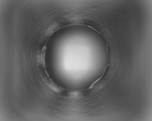 X0000077280432200610271503