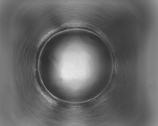 X0000077280438200610271502