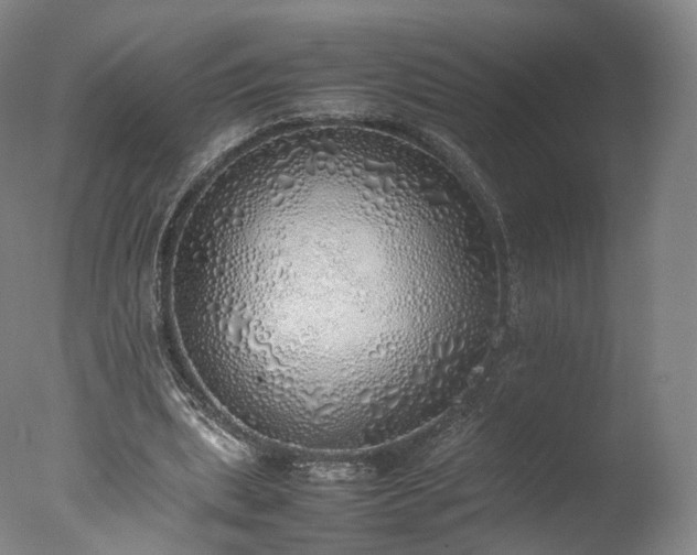 X0000077280439200610271502