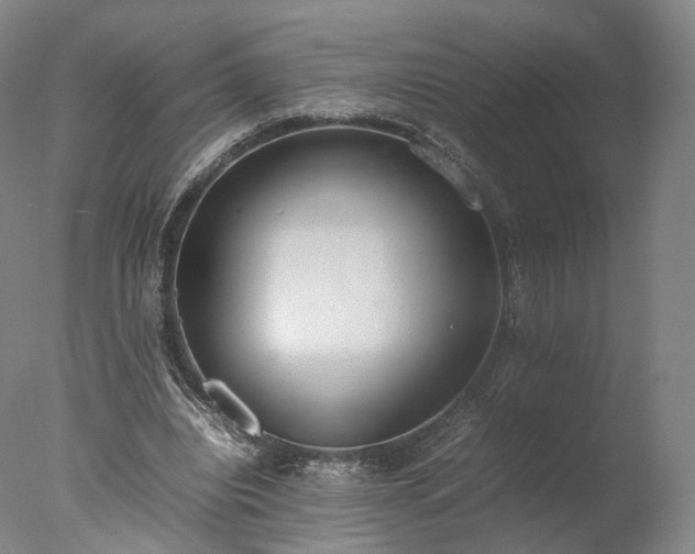 X0000077280440200610271502