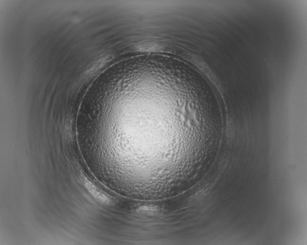 X0000077280441200610271502